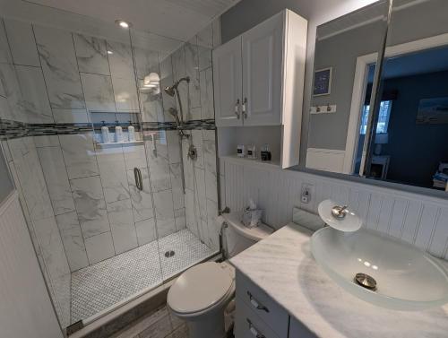 uma casa de banho com um chuveiro, um lavatório e um WC. em Blue Flamingo - Pool, Sunsets, Dock, Lift, Direct Gulf Access! em Cape Coral