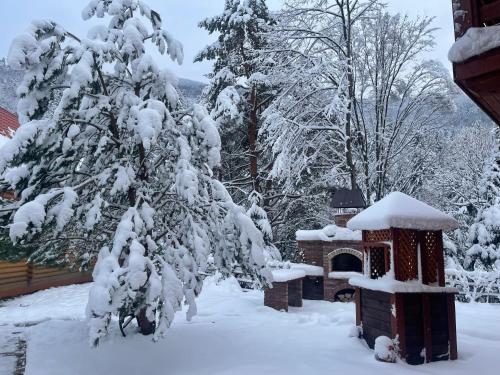 a snow covered tree in a yard with a house at Villa Затишна de luxe in Mykulychyn