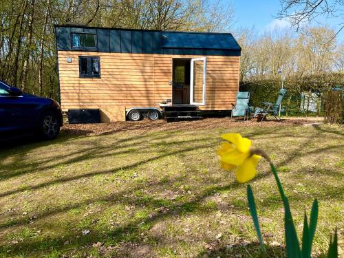 a tiny house in a yard with a yellow flower at Tinyhouse „Kleines Ems-Idyll“ in Lathen