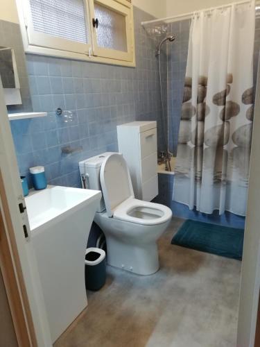 une salle de bain avec toilettes, lavabo et douche dans l'établissement Appartement classé 3 étoiles au 1er étage d'une maison avec jardin dans un quartier calme, à Cavalaire-sur-Mer