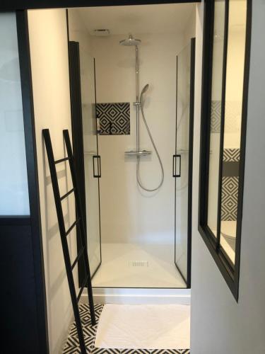 une douche dans une salle de bain avec une porte vitrée dans l'établissement AU DOMAINE DES OISEAUX ses chambres sa gloriette insolite face à l'étang bucolique, à Vandré
