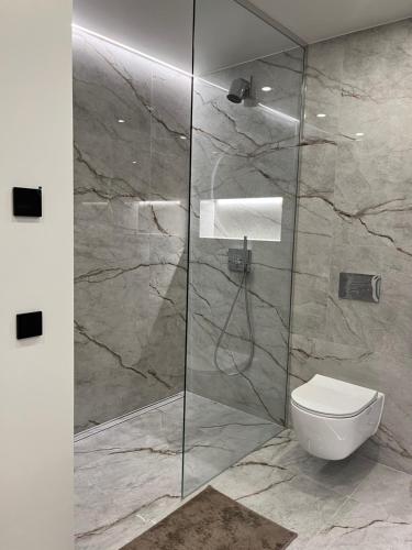 a bathroom with a toilet and a glass shower at Taikos apartment 57 in Kaunas