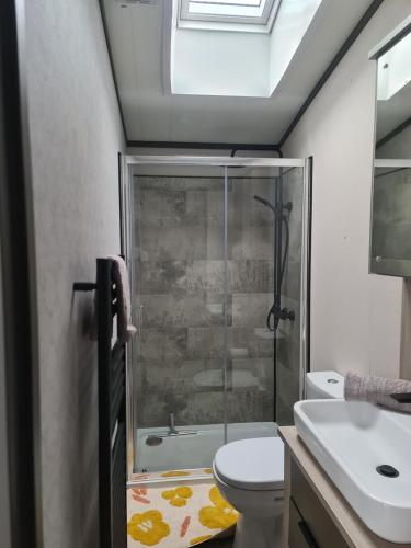 ein Bad mit einer Dusche, einem WC und einem Waschbecken in der Unterkunft Mawgan Pads Perranporth in Cubert