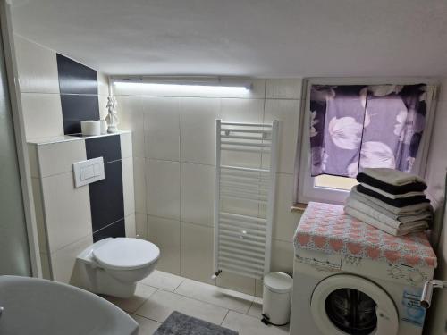 a bathroom with a toilet and a washing machine at Apartment Vilic in Pula