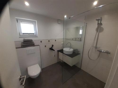 een badkamer met een douche, een toilet en een wastafel bij Ferienhaus Wehretal 