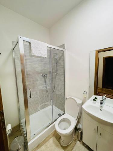 a bathroom with a shower and a toilet and a sink at Domeniul Bondarelului in Ocolişu Mic