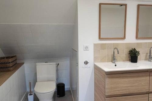 uma casa de banho com um WC, um lavatório e um espelho. em Gîte Laplume em Monein