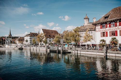 vista su un fiume in una città con edifici di Ferienwohnung am Sonnenberg a Busingen am Hochrhein