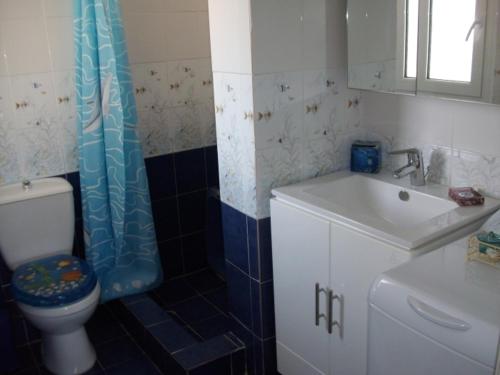 a bathroom with a toilet and a sink at Rudi Studios in Sarti