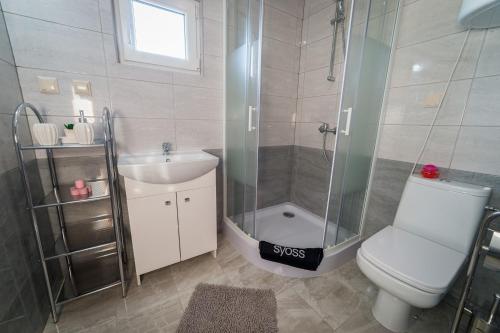 een badkamer met een douche, een toilet en een wastafel bij Dreamland skorupki in Ryn
