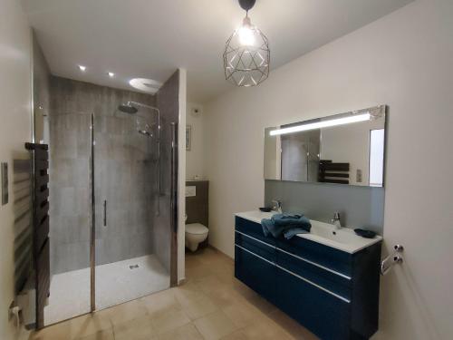a bathroom with a shower and a sink and a toilet at Auberge du Vieux Pont in Brignais