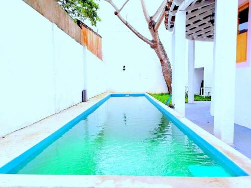Der Swimmingpool an oder in der Nähe von Casa La Escondida Tlacotalpan