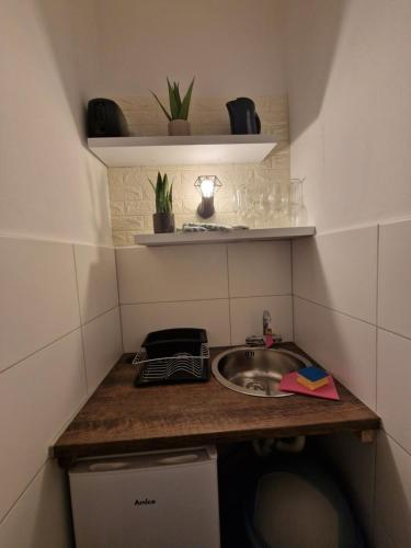 uma pequena cozinha com um lavatório e um balcão em Appartement 223 em Bad Aussee