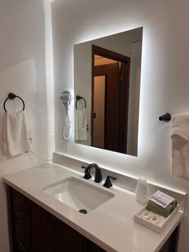a bathroom with a sink and a mirror at Big South Fork Lodge in Jamestown