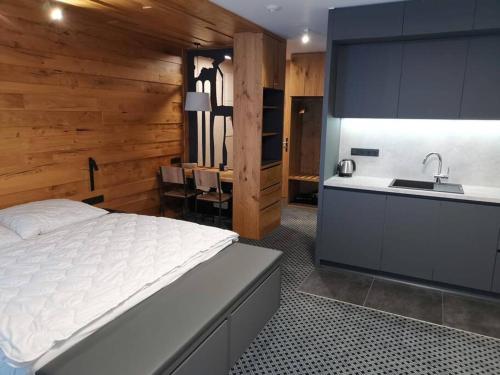 Apartmán_Alpina Špindlerův Mlýn