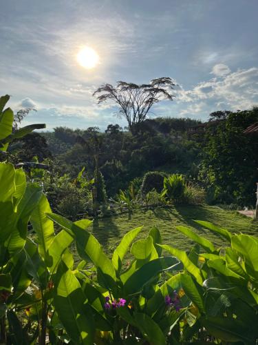 a view of a swamp with the sun in the background at El Percal Hacienda Hotel in Montenegro