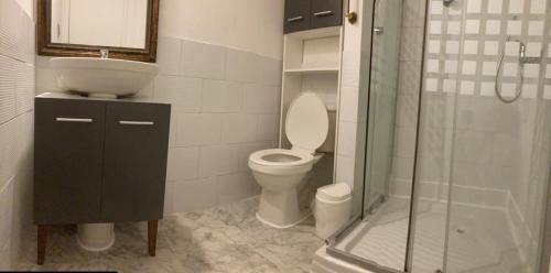 a bathroom with a toilet and a sink and a shower at Hostal Argentina Osorno in Osorno
