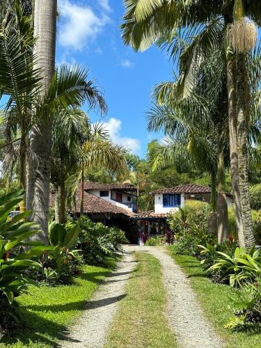 a dirt road with palm trees in front of a house at El Percal Hacienda Hotel in Montenegro
