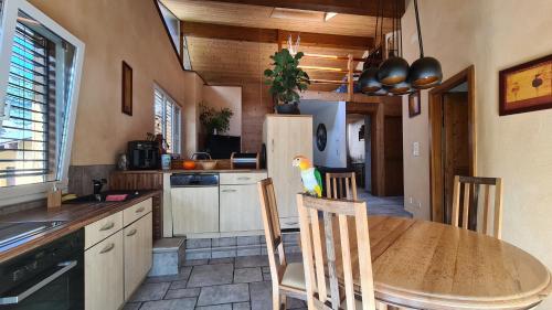 a kitchen with a table with a parrot sitting on top of it at Chez Pewee, beau duplex en ville, parc privé in Martigny-Ville