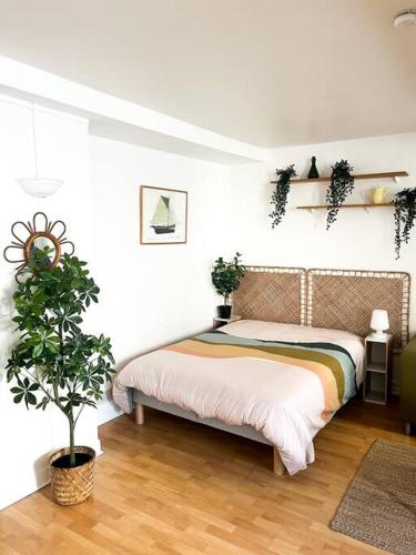 Joli studio fonctionnel في كايين: غرفة نوم مع سرير وزرع الفخار