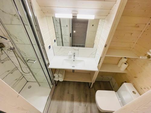 a bathroom with a sink and a toilet and a mirror at Pokoje i domek letniskowy Pod Kasztanem in Jastarnia