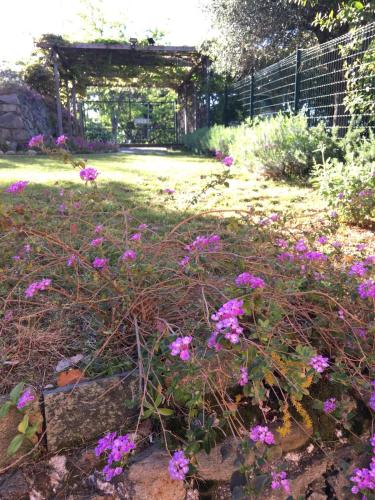 Country House Celle Ligure – Photos 2