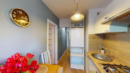 a kitchen with a sink and a clock on the wall at Kotlarska 7 TectumApartments in Wrocław