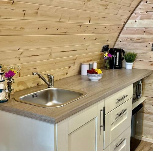 a kitchen with a sink and a wooden wall at Plumgrove Pod Easkey in Sligo
