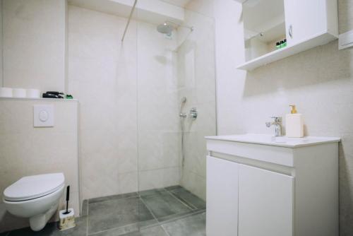 a white bathroom with a toilet and a sink at Darki Comfort Apartments - Stylish and Comfortable Apartments with Free Parking in Ohrid