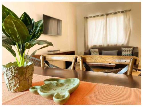 a table with a green object on top of it at Terraria Apartment 5 in La Paz
