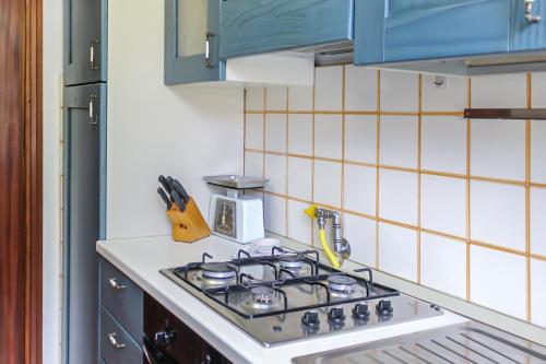 a stove top in a kitchen with blue cabinets at Appartamento Santa Chiara - Affitti Brevi Italia in Lucca