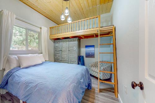 a bedroom with a bunk bed and a ladder at Haven's Way Cottage in Clinton