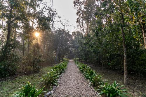 a path in the middle of a forest with trees at Tiger Tops Karnali Lodge in Bardia