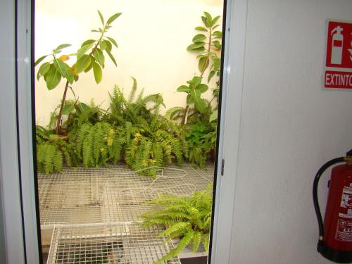 Imagen de la galería de Hostal Platja, en Cambrils