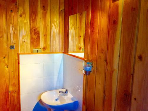 a bathroom with a white sink and wooden walls at Cabañas Choshuenco in Choshuenco