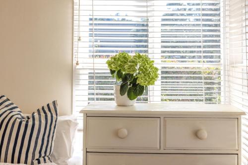 a white dresser with a potted plant on it in front of a window at Bach on the Beach - Coast & Country in Onetangi