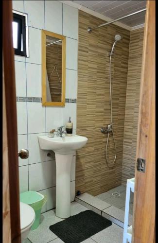 a bathroom with a sink and a shower at CostaLoft in Valdivia