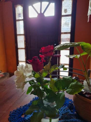 Cardones de Molinos – Photos 4