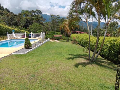 um quintal com uma piscina e uma palmeira em Casa de campo San Fernando em Villeta