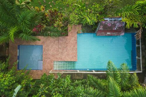 Iguanitas Lodge