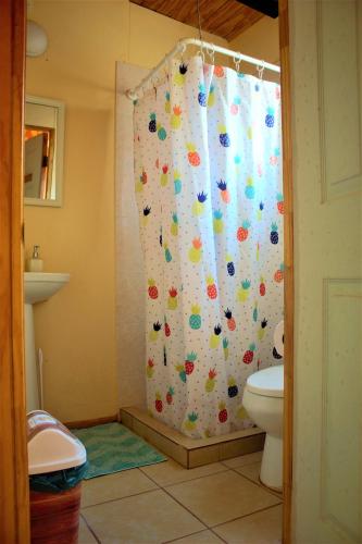 a bathroom with a shower curtain with a toilet at El Yatiri in San Pedro de Atacama
