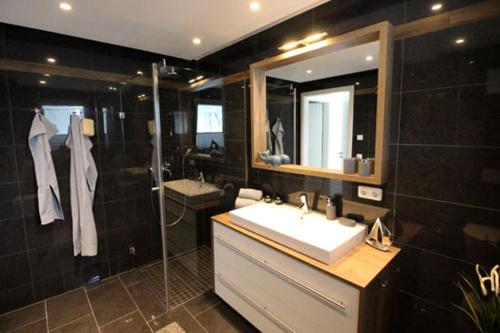 uma casa de banho com um lavatório, um chuveiro e um espelho. em Aquamarin Ostseetraumsuite 12 em Neuhaus