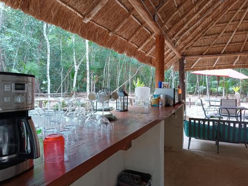 プエルト・モレロスにあるChéel lodge & Campingのパビリオンのカウンターにグラスをかけたバー