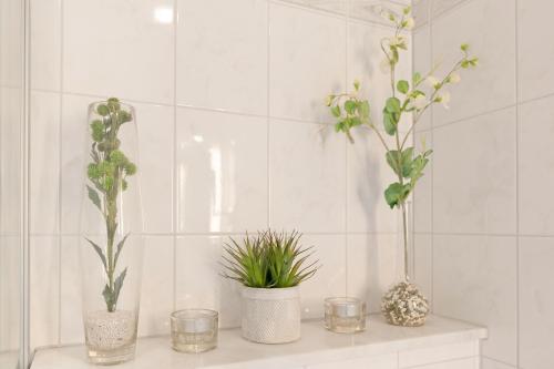 four plants sitting on a shelf in a bathroom at Haus Schwanensee PLÖNI 12 in Bosau