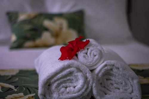 two towels with a red flower on top of them at Yaubula Accommodation in Nadi