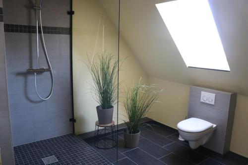 a bathroom with a shower and a toilet and plants at Ferienwohnung Hof Margarethental 