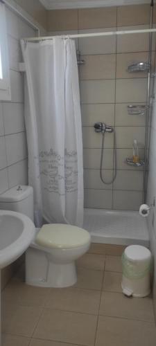 a bathroom with a toilet and a shower and a sink at Elena's Suite in Skala Rachoniou