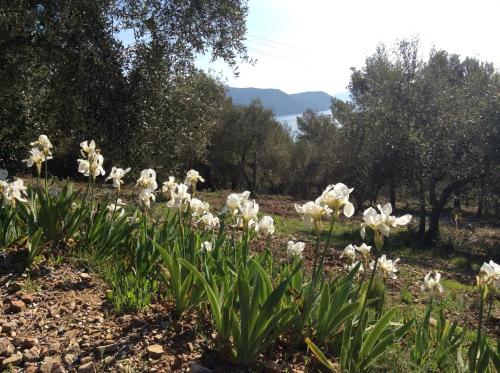 Paesaggio naturale nelle vicinanze dell'appartamento
