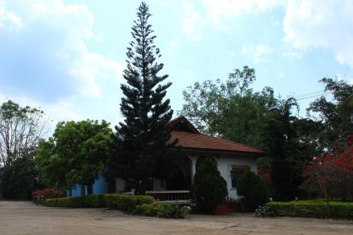 un gran árbol frente a una casa en Theokhame Guest House & Hotel, en Ban Tayun