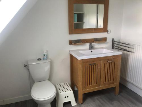 une salle de bain avec toilettes, lavabo et miroir dans l'établissement Maison avec jardin au calme proche centre-ville, à Vannes